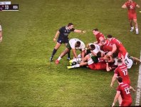 IMG_3379 Medium.jpeg